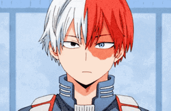 Shoto Todoroki Sly Smile GIF