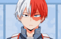 Shoto Todoroki Smirking GIF