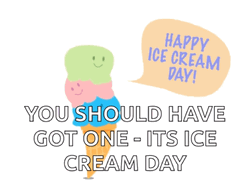 Should Have Got One National Ice Cream Day GIF