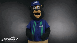 Shoulder Shrug Brooks The Bear Michigan GIF