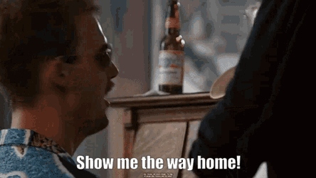 Show Me The Way Home Goose GIF