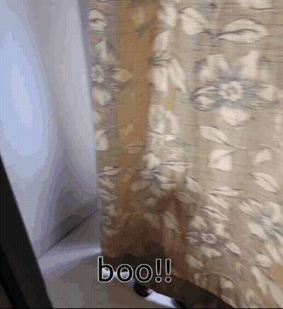 Shower Curtain Saying Boo GIF