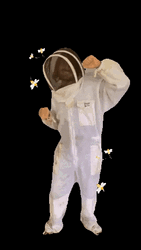 Showing Hazmat Suit To Harvest Honeybees GIF