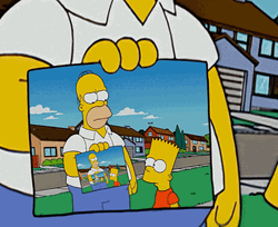 Showing Picture Homer Meme GIF