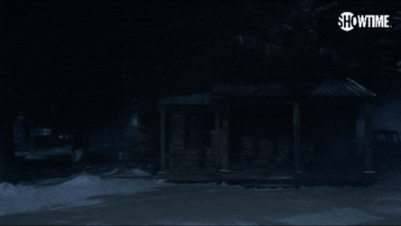 Showtime Lightbulb Inside House Blinking GIF