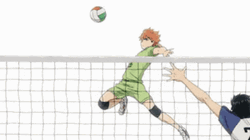 Shoyo Hinata Volleyball Anime
