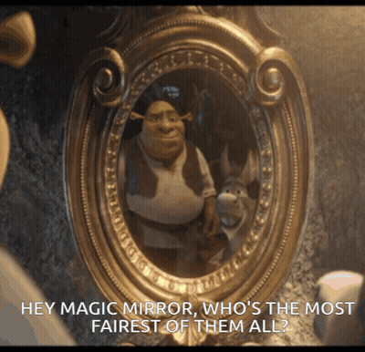 Shrek And Donkey Looking At Their Reflection In A Mirror With The Words Hey Magic Mirror Who 'S The Most Fairest Of Them GIF