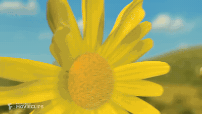 Shrek And Fiona Running Through Yellow Flowers Holding Hands GIF