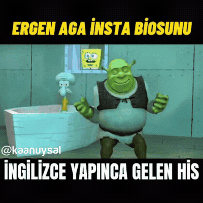 Shrek And Squidward From Spongebob Squarepants Are In A Bathroom GIF