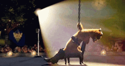 Shrek Character Puss In Boots Stage Shower Dancing GIF