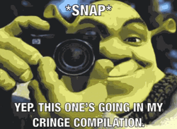 Shrek Cringe Camera Flash