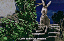 Shrek Donkey Eye Twitch GIF