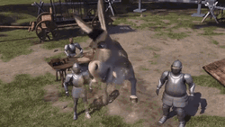 Shrek Donkey Flying Epic Fail Falling  GIF