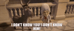 Shrek Donkey I Don’t Know You Quote GIF