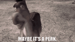 Shrek Donkey Maybe It’s A Perk Meme GIF