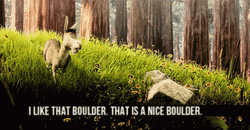 Shrek Donkey Nice Boulder Funny Scene GIF