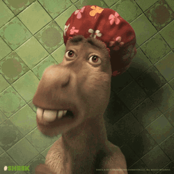 Shrek Donkey Shocked Scared Screaming Shower GIF