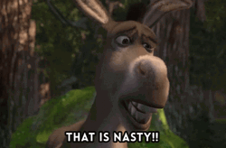 Shrek Donkey That Is Nasty GIF