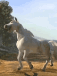 Shrek Donkey Transformation GIF