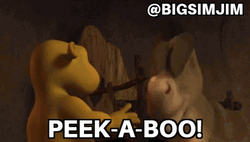 Shrek Film Donkey Playing Peek A Boo  GIF