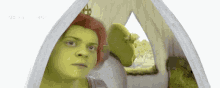 Shrek Fiona Donkey Mmmm Thinking Travel Far Away GIF