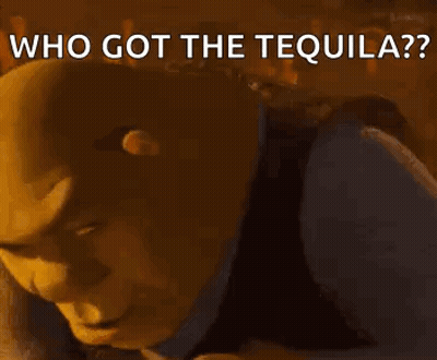 Shrek From Shrek Is Laying Down With His Head On His Arm And Says `` Who Got The Tequila ? '' GIF