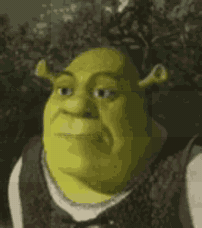 Shrek From Shrek Is Looking At The Camera With A Serious Expression On His Face . GIF