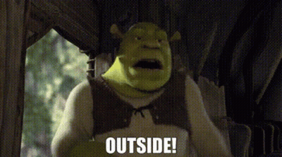 Shrek From Shrek Is Standing In Front Of A Window And Says `` Outside ! '' GIF