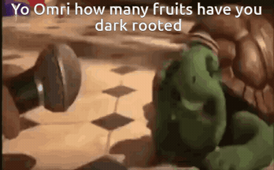 Shrek How Many Fruits Have You Dark Rooted GIF