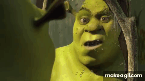 Shrek Is Looking At Himself In The Mirror And Making A Funny Face GIF