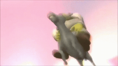 Shrek Is Riding A Donkey In The Air GIF
