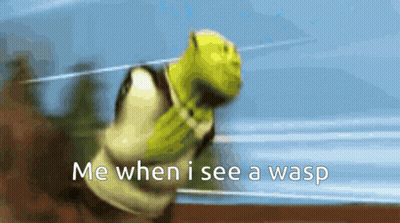 Shrek Is Running With The Words Me When I See A Wasp Behind Him GIF