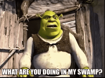 Shrek Is Standing In Front Of A Wooden Door And Asking What Are You Doing In My Swamp GIF