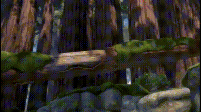 Shrek Is Standing In The Middle Of A Rocky Area With The Word Alone Written On The Bottom . GIF