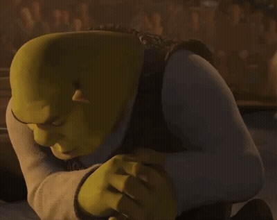 Shrek Kneeling Looking At Camera GIF