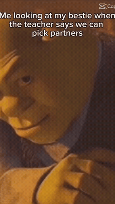Shrek Looking At Bestie GIF