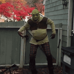 Shrek Man Dancing