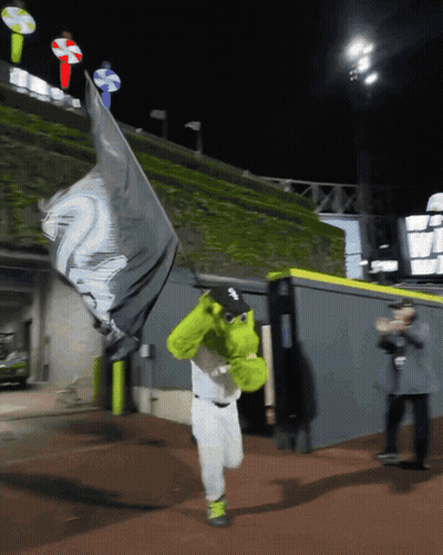 Shrek Man With Black White Flag Number 2 GIF