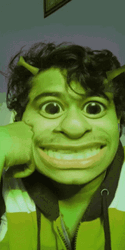 Shrek Meme Funny Makeup Blinking Eyes GIF