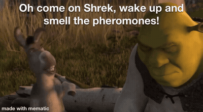 Shrek Next To Donkey Saying Oh Come On Shrek Wake Up And Smell The Pheromones GIF