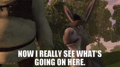 Shrek Next To Donkey Says Now I See What's Going On GIF