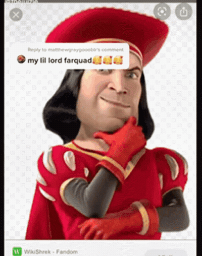 Shrek Reply To MatthewGrayPoobi GIF