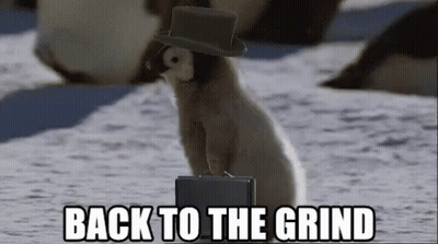 Shrek Saying It Was Fun Now Back To Grind GIF