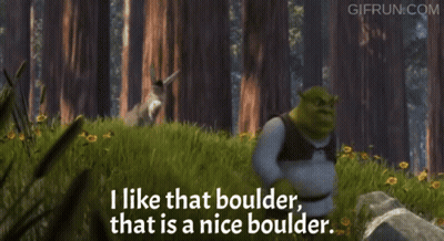 Shrek Says I Like That Boulder Donkey GIF