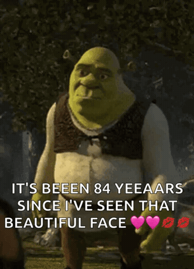 Shrek Says It 'S Been 84 Yeeaars Since He 'S Seen That Beautiful Face GIF