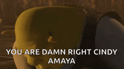 Shrek Says You Are Damn Right Cindy Amaya GIF