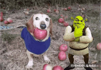 Shrek Standing Next To Dog Holding Apple GIF