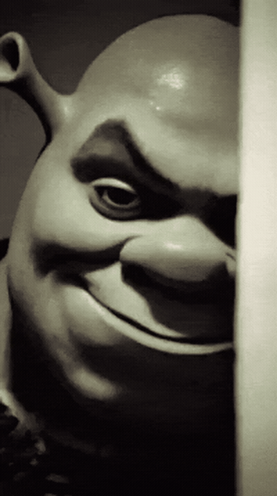 Shrek Statue Peeking From Behind Wall Smiling GIF