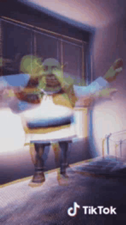 Shrek Strut TikTok Dancing Meme GIF
