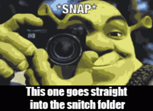 Shrek Taking A Picture With A Camera That Says Snap This One Goes Straight Into The Snitch Folder GIF